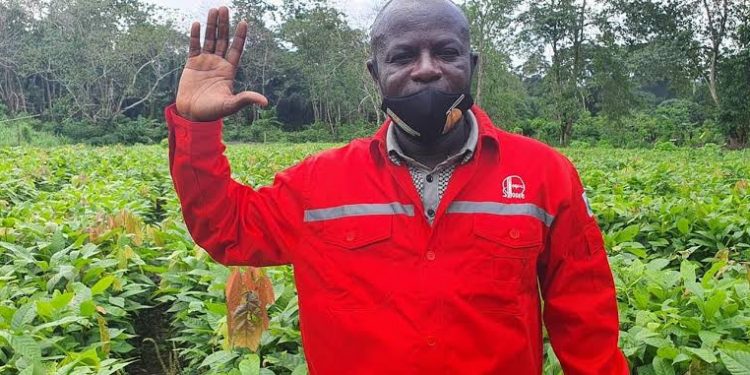 Ayade's SA on Cocoa Development and Control,Ntufam Dr Oscar Ofuka
